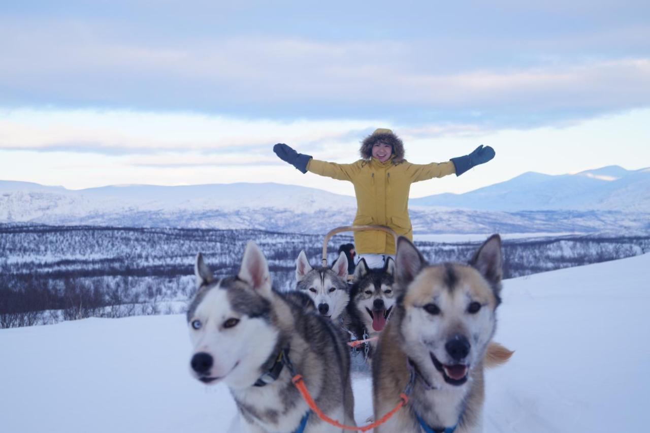 Abisko net Hostel&Huskies Eksteriør bilde